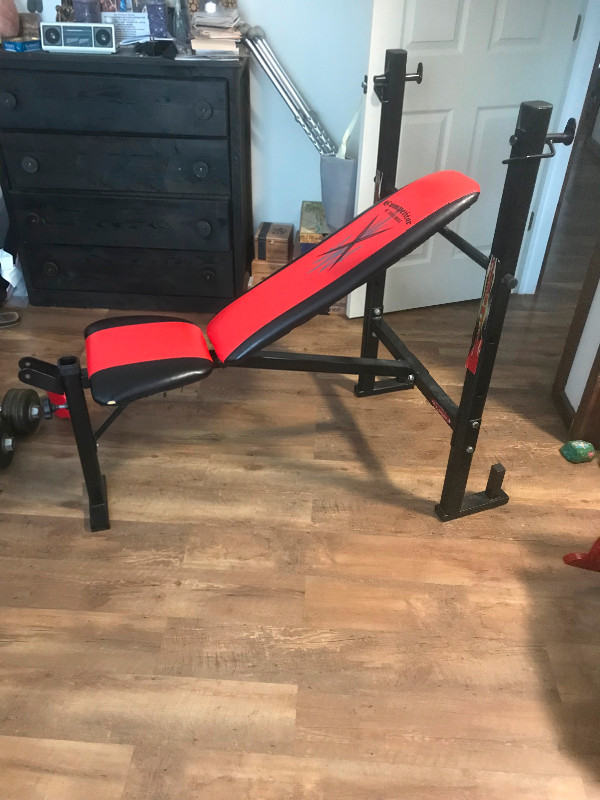 Weights and bench for sale in Exercise Equipment in Thunder Bay