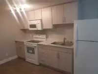 1 bed room walk out basement