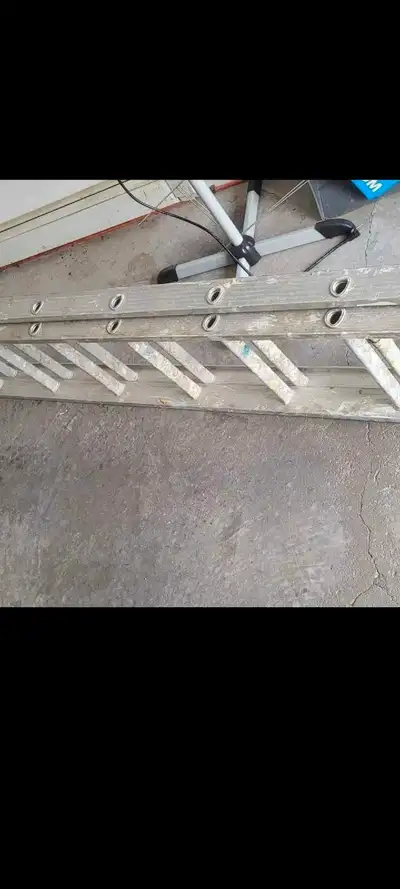 Ladder 30 feet  (Free Delivery in HRM), View more