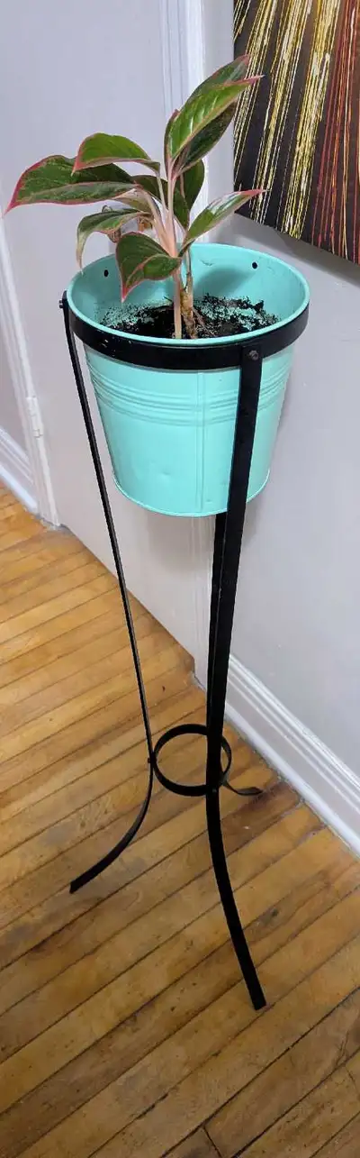Cast Iron Plant Stand, View more