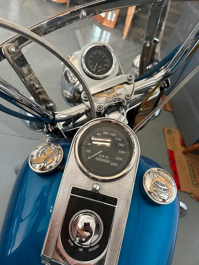 1996 Harley Davidson Fat Boy in Street, Cruisers & Choppers in Red Deer - Image 11