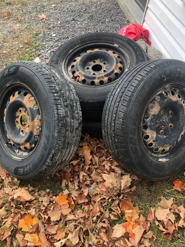 tires mounted on steel rims in Tires & Rims in Trenton - Image 2