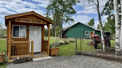 One of a kind Custom built home with Western Wood Ceder cabinetry throughout. This stunning 3-bedroo...