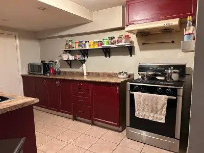 2 bedroom 1 bathroom  basement