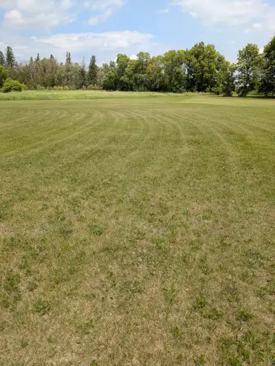Part TIme Yard Maintenance Work, View more