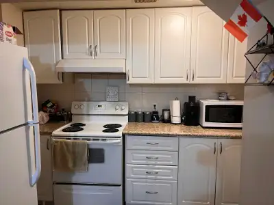 One bedroom basement apartment for rent at Bovaird & Main Street near all possible amenities, includ...