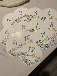 Baby milestone month cards 