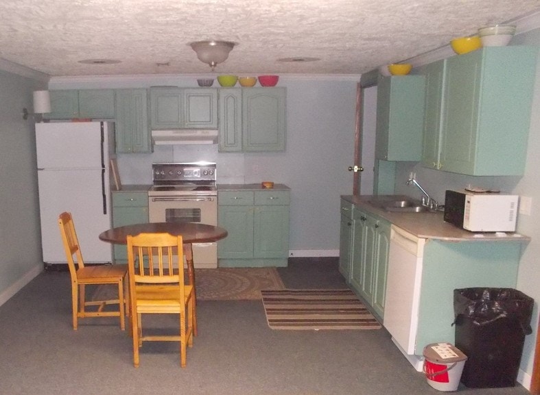 Feels like SW !!! Priced like NE !!! Marlborough Basement 600 Long Term Rentals Calgary