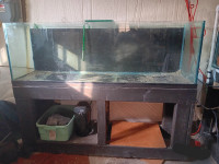 140g tank, 2x6 stand.  With filter if desired