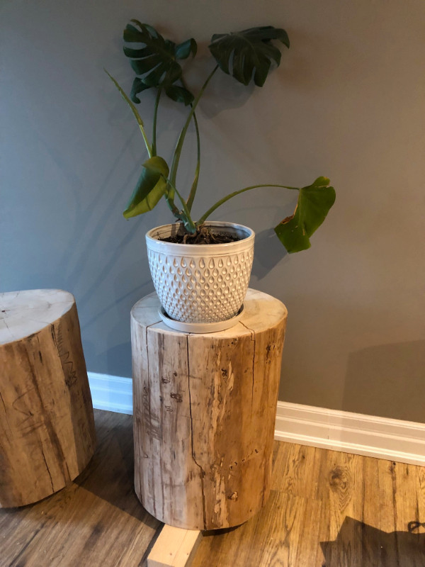 Stump tables in Home Décor & Accents in Kawartha Lakes - Image 2