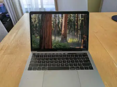 Apple MacBook Pro 13-inch, View more