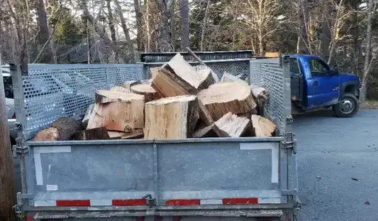 Junk Removal544786189879889923