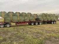 2023 Alfalfa Round Bales ($290 ton Delivered Price)