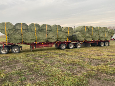 2023 Alfalfa Round Bales ($290 ton Delivered Price)