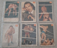 Lot de 26 Cartes Lutte Parkhurst 1954 Fair to VG