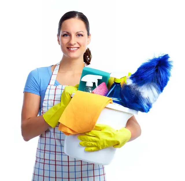 HOUSEWOMAN / WINDOW CLEANING✨628632383185951223