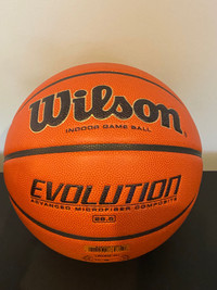 Wilson Evolution intermediate Basketball, 28.5”