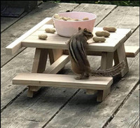 Squirrel/bird/chipmunk picnic table feeder