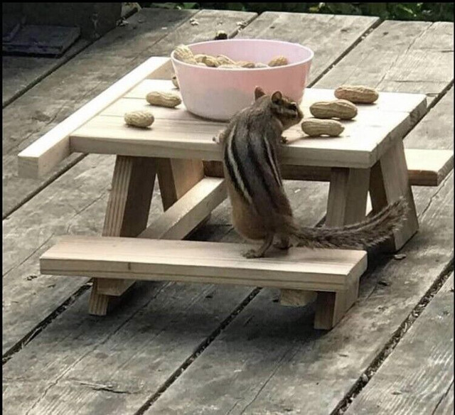 Squirrel/bird/chipmunk picnic table feeder in Outdoor Décor in Oshawa / Durham Region