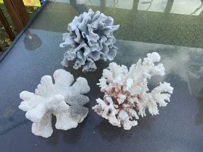 Several pieces of coral and shells for fish aquarium or decoration. The first pic the blue shell is...