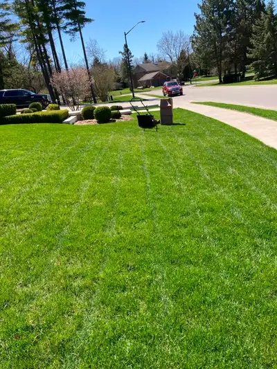 Apollo Property Maintenance Barrie, View more