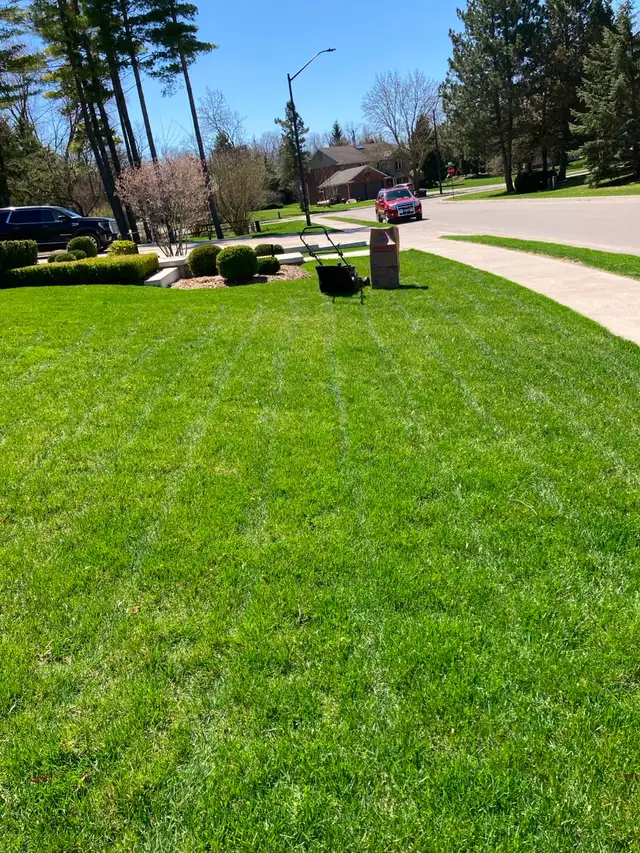 Apollo Property Maintenance Barrie in Snow Removal & Property Maintenance in Barrie - Image 2
