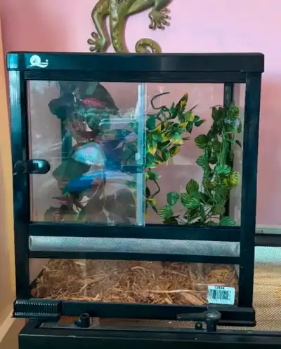 Like New Reptile Enclosure with Accessories, View more