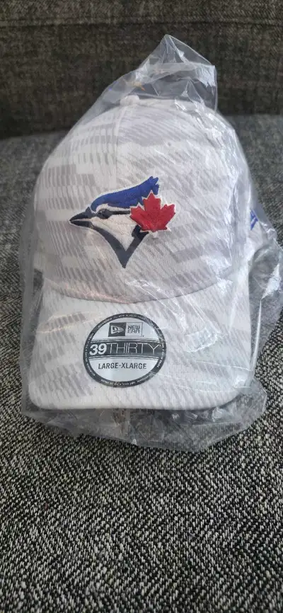 39THIRTY Blue Jays "Graded" hat (L/XL) *BRAND NEW*, View more