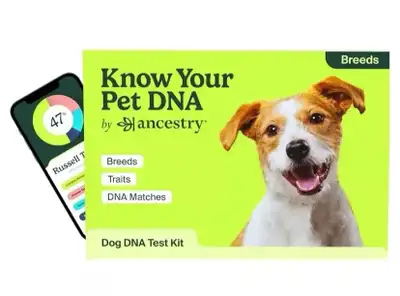 Ancestry Dog DNA Test Kit, View more