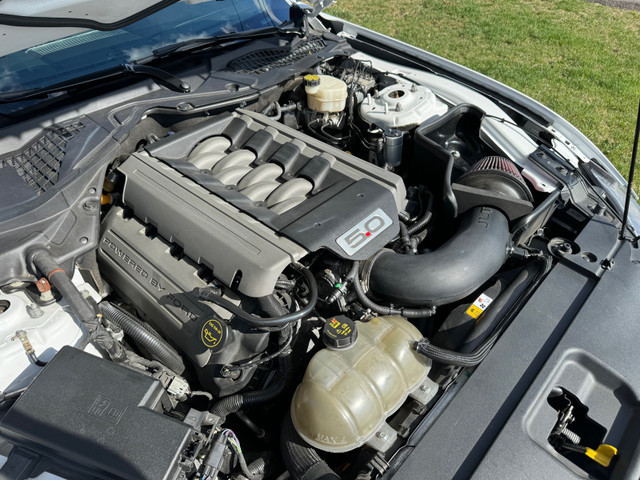 mustang for sale  in Cars & Trucks in St. Catharines