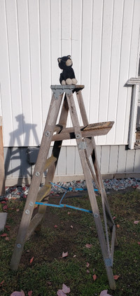 4'  6"  wooden ladder