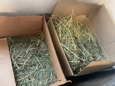 Fresh Timothy hay, about 3/4 bale. Packed in four boxes. Was used for rabbits. This much hay at the...