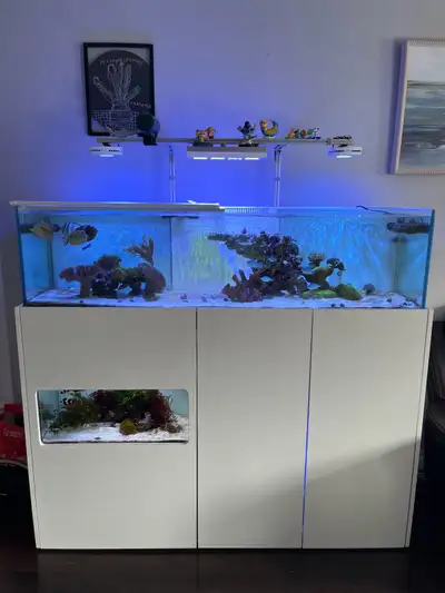 aquarium , View more