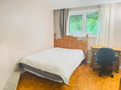 1 bedroom in Finch Birchmount for 800$