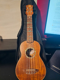 Luna high tide ukulele with amp capability
