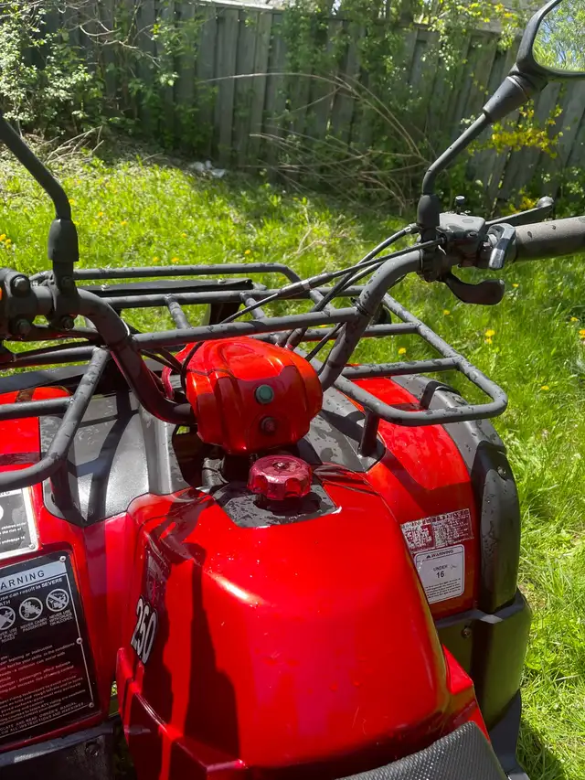 red Tao Tao atv in Other in Mississauga / Peel Region - Image 5