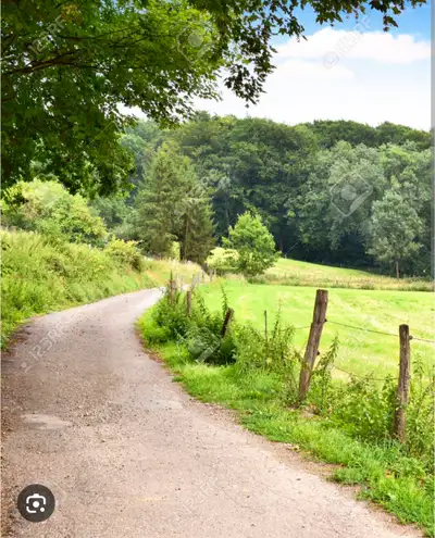 Need at least 3 bedrooms, at least 20 acres. Within 30 minutes of North Bay.
