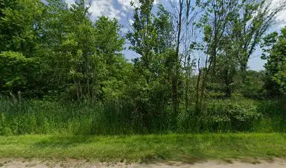 9778 Carl Road Vacant Land