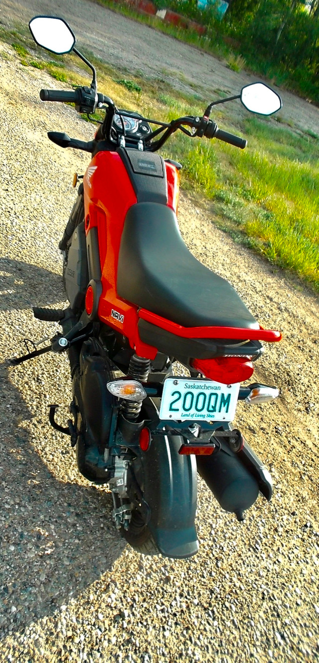 2023 HONDA NAVI in Street, Cruisers & Choppers in Saskatoon - Image 2