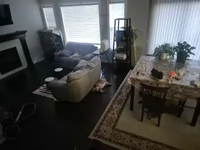 Chestermere . Clean an includes washer dryer i have a couple small dogs an a cat spayed. Upstairs ha...