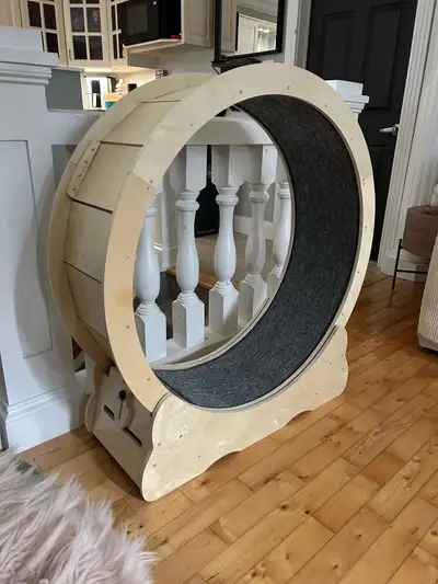 Big cat exercise wheel We have 6 cats and unfortunately none of them used it. Looking to sell it to...