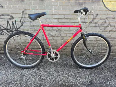 Vintage Raleigh R100th mountain bike 21 inch frame size, View more