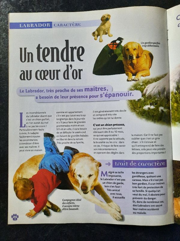 Édition Atlas ☆ Mon Chien Mon Ami ☆ Tome 1 - Le Labrador dans Magazines  à Longueuil/Rive Sud - Image 3