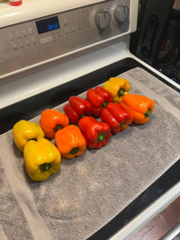 Bell Peppers For Sale (10 For 5$) Lots Available