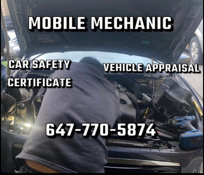 Mobile mechanic , Repairs , (car safety inspection)