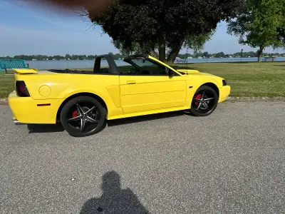 2001 Mustang Gt Convertible, 4.6L with upgrades. SLP cat back exhaust, Performance coil packs, perfo...