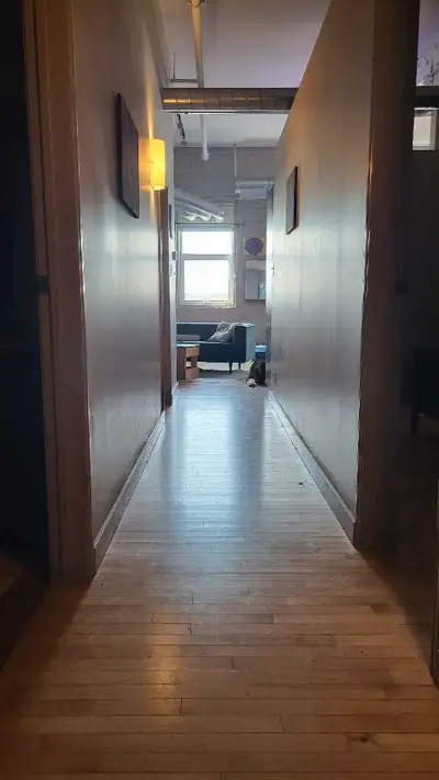 Room available in Exchange District- $900 - hydro/internet/water