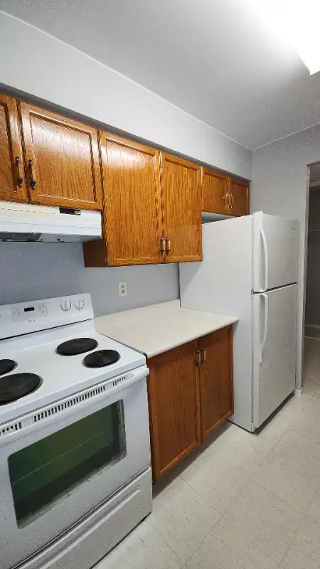 Carpenter & Handyman & Millwork Services by TONY62864355878787123