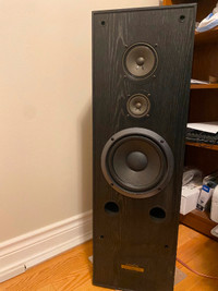 Pioneer CS-J303B speaker.