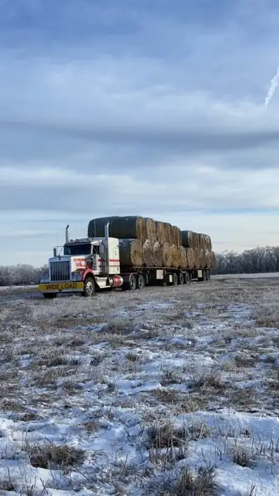 Custom bale hauling available with super b trailers. Multiple units available. Can haul up to 40 5x6...